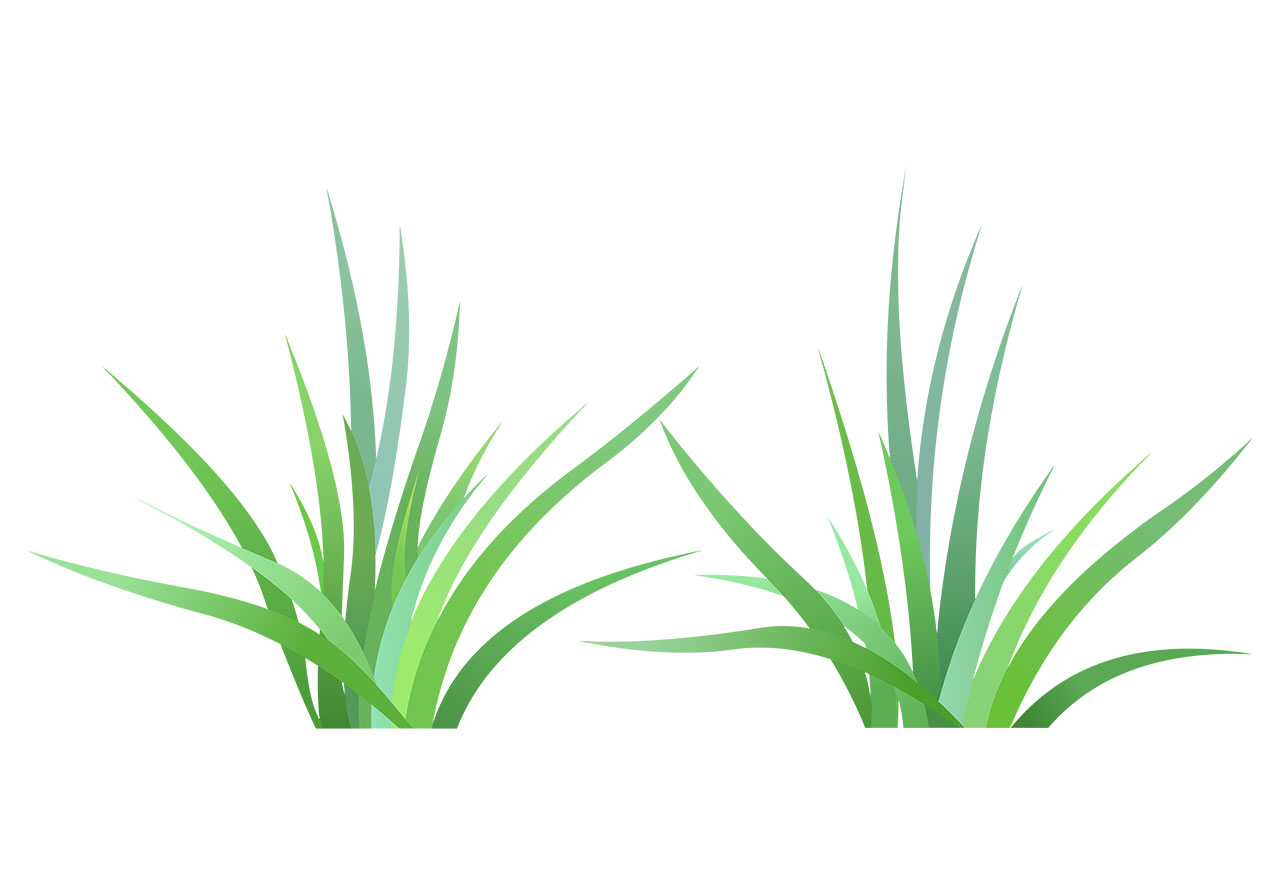 Aloe vera, grass, shrub vector graphic. Two distinct clumps of green grass, aloe vera vector graphic. Set of beautiful green aloe vera, grasses, shrubs, and bushes vector graphic. Vector graphic with CC0 license, best for a variety of projects, including designs, animations, and more.