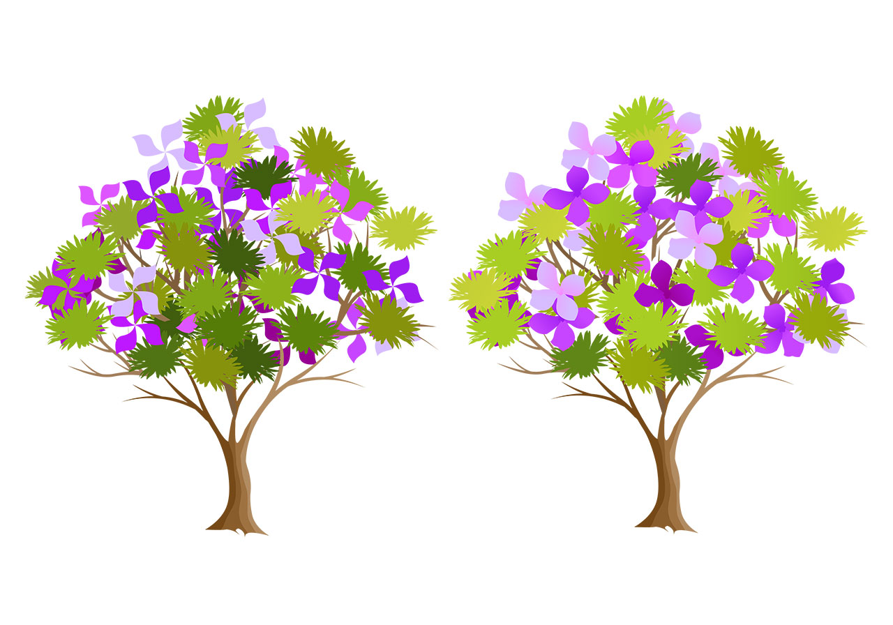 Beautiful flowering trees vector graphic. Pink, violet flowering trees vector graphic. Two stylized trees, with brown trunks and branches, packed with vibrant foliage and flowers, vector graphic. Vector graphic with CC0 license, best for a variety of projects, including designs, animations, and more.