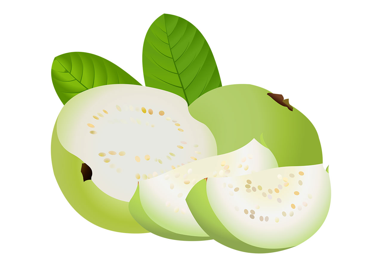 Beautiful guava, fruit vector graphic. Green guava with leaves vector graphic. Guava, fruit with slices and leaves vector graphic. Beautiful guavas with slices and green leaves vector graphic. Vector graphic with CC0 license, best for a variety of projects, including designs, animations, and more.