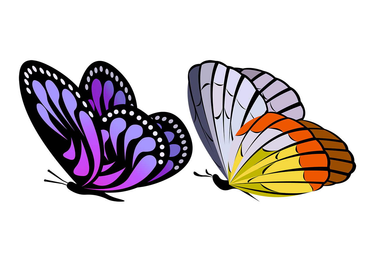 Butterfly, insect, animal vector graphic. Set of two stylized butterflies vector graphic. Cartoon butterfly design vector graphic. A set of two monarch butterflies, vector graphic. Vector graphic with CC0 license, best for a variety of projects, including designs, animations, and more.