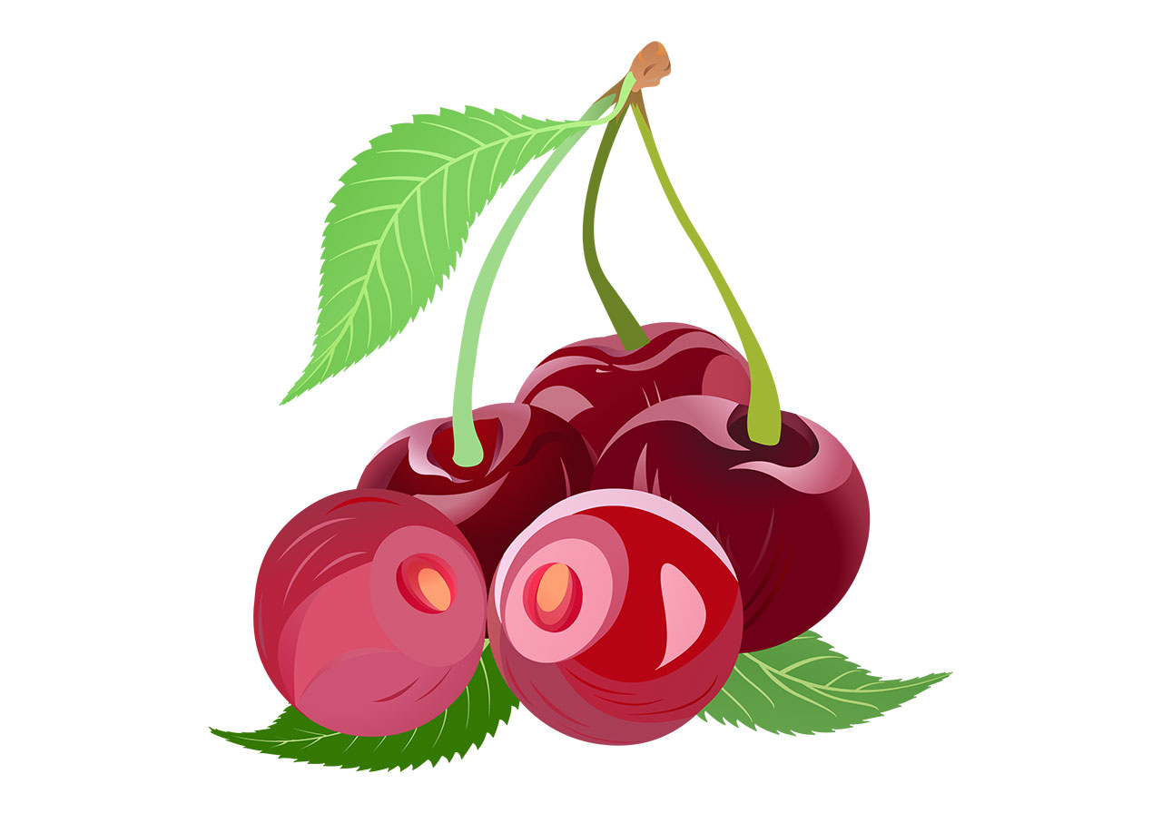 Cherries with leaves vector graphic. Red, ripe cherries with green leaves vector graphic. Stunning fruits with leaves vector graphic. Red cherries accompanied by green leaves vector graphic. Vector graphic with CC0 license, best for a variety of projects, including designs, animations, and more.
