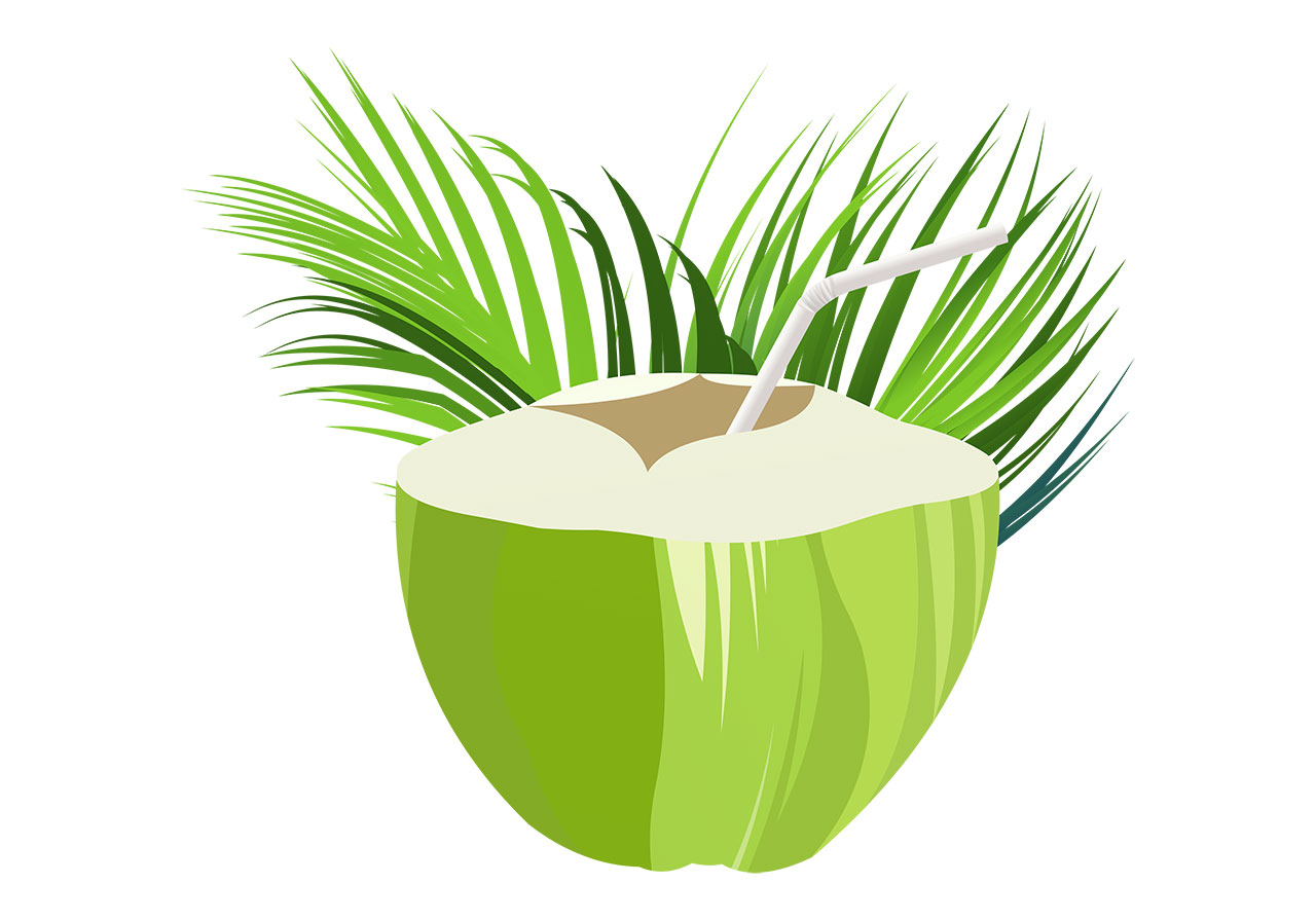 Coconut with straw vector graphic. A green coconut, cut on top, revealing the interior with a straw inside, vector graphic. Coconut with leaves vector graphic. Fruits with leaves vector graphic. Vector graphic with CC0 license, best for a variety of projects, including designs, animations, and more.