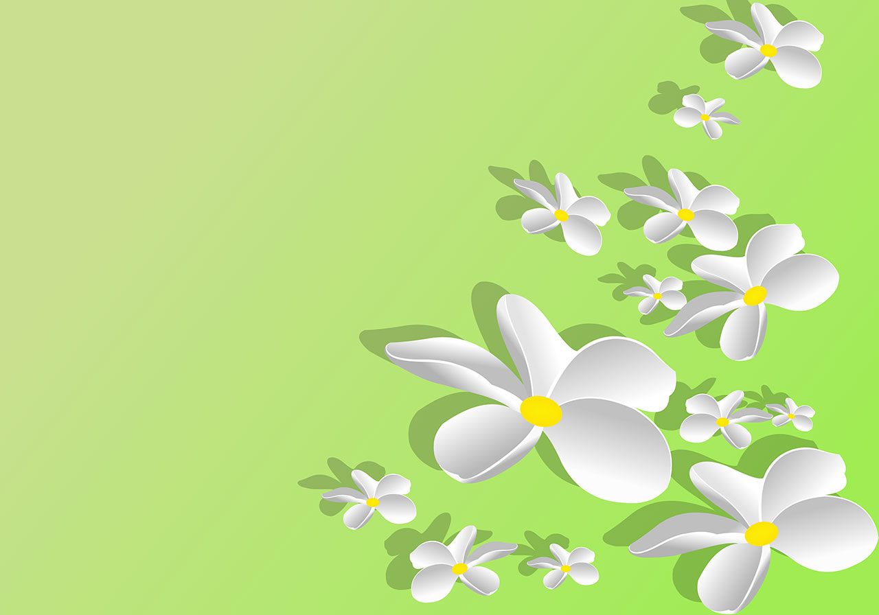 Floral design, pattern vector graphic. A collection of stylized white flowers with bright yellow centers, vector graphic. Stunning white flowers on a soft gradient of light green background vector graphic. Vector graphic with CC0 license, best for a variety of projects, including designs, animations, and more.