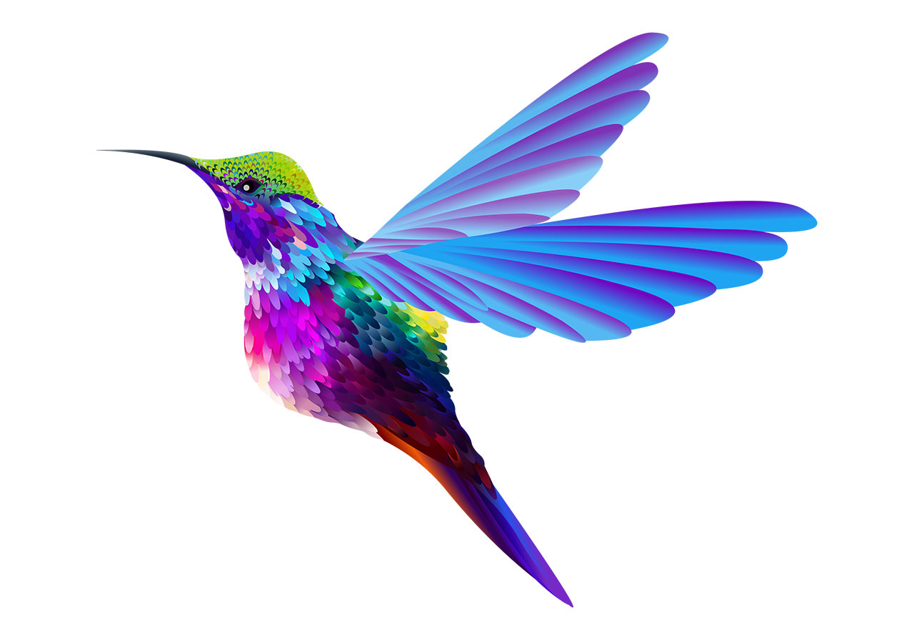 Hummingbird, bird, animal vector graphic. A hummingbird in mid-flight vector graphic. Stunning colourful hummingbird vector graphic. Flying hummingbird vector graphic. Vector graphic with CC0 license, best for a variety of projects, including designs, animations, and more.