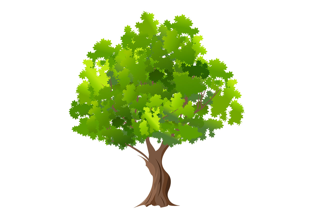 New green tree vector graphic. Stunning green tree, mature tree, plant vector graphic. Stunning tree with dense, verdant canopy of leaves in various shades of green, vector graphic. Vector graphic with CC0 license, best for a variety of projects, including designs, animations, and more.