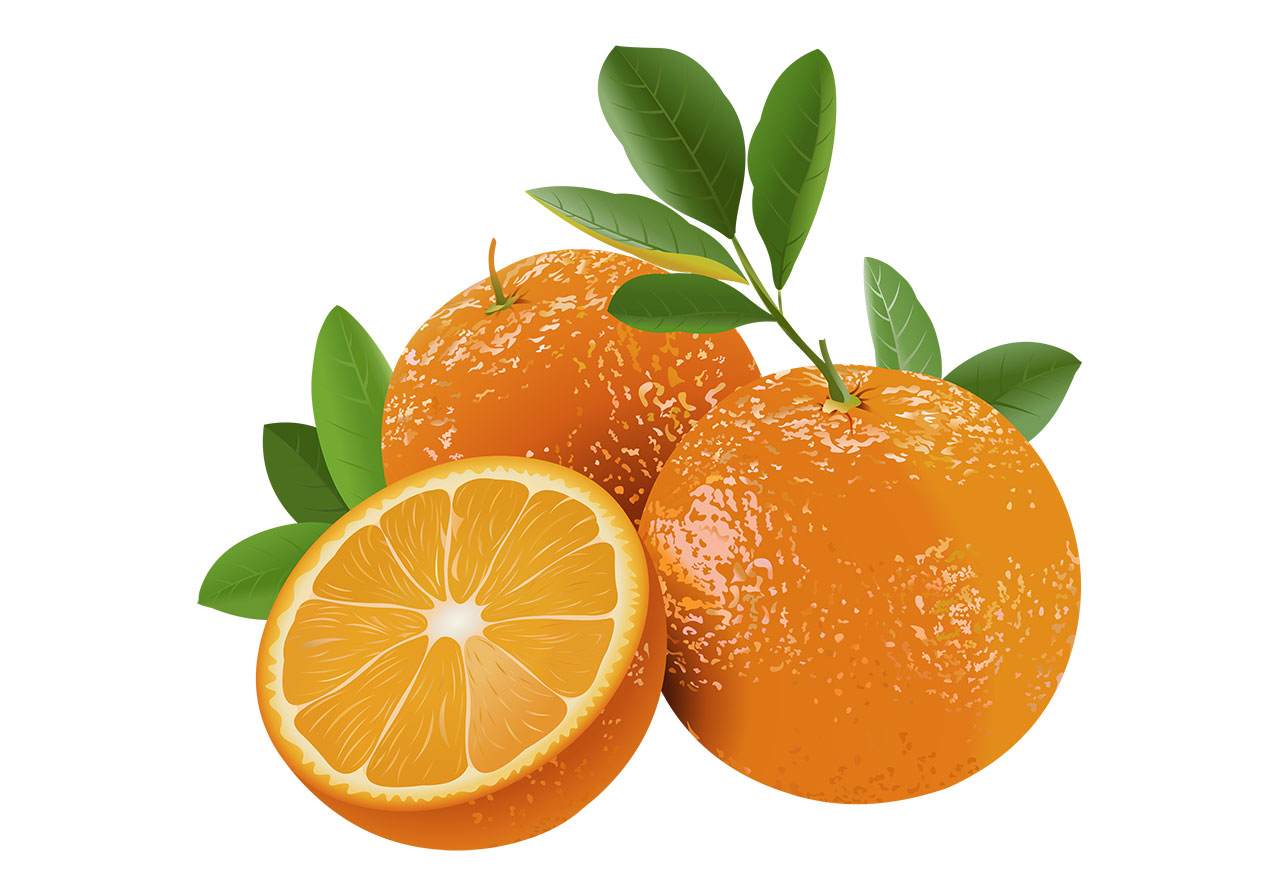 Oranges, fruits, citrus vector graphic. Beautiful oranges with leaves vector graphic. A half-cut orange with two whole oranges and green leaves vector graphic. Stunning fruits with leaves vector graphic. Vector graphic with CC0 license, best for a variety of projects, including designs, animations, and more.