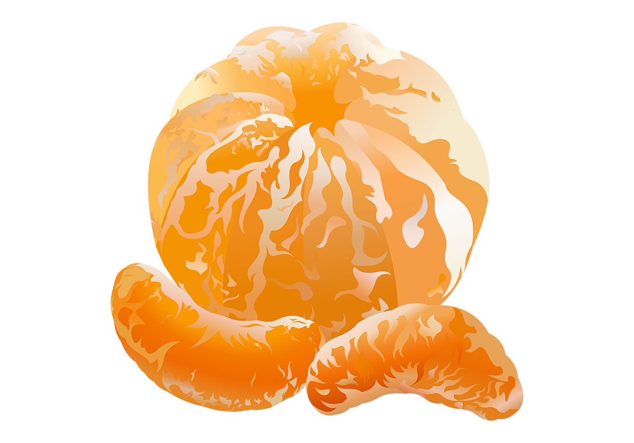 Peeled orange, fruit vector graphic. A peeled tangerine orange with two segments vector graphic. Beautiful, ripe, peeled citrus fruit with two segments vector graphic. Beautiful fruit vector graphic. Vector graphic with CC0 license, best for a variety of projects, including designs, animations, and more.