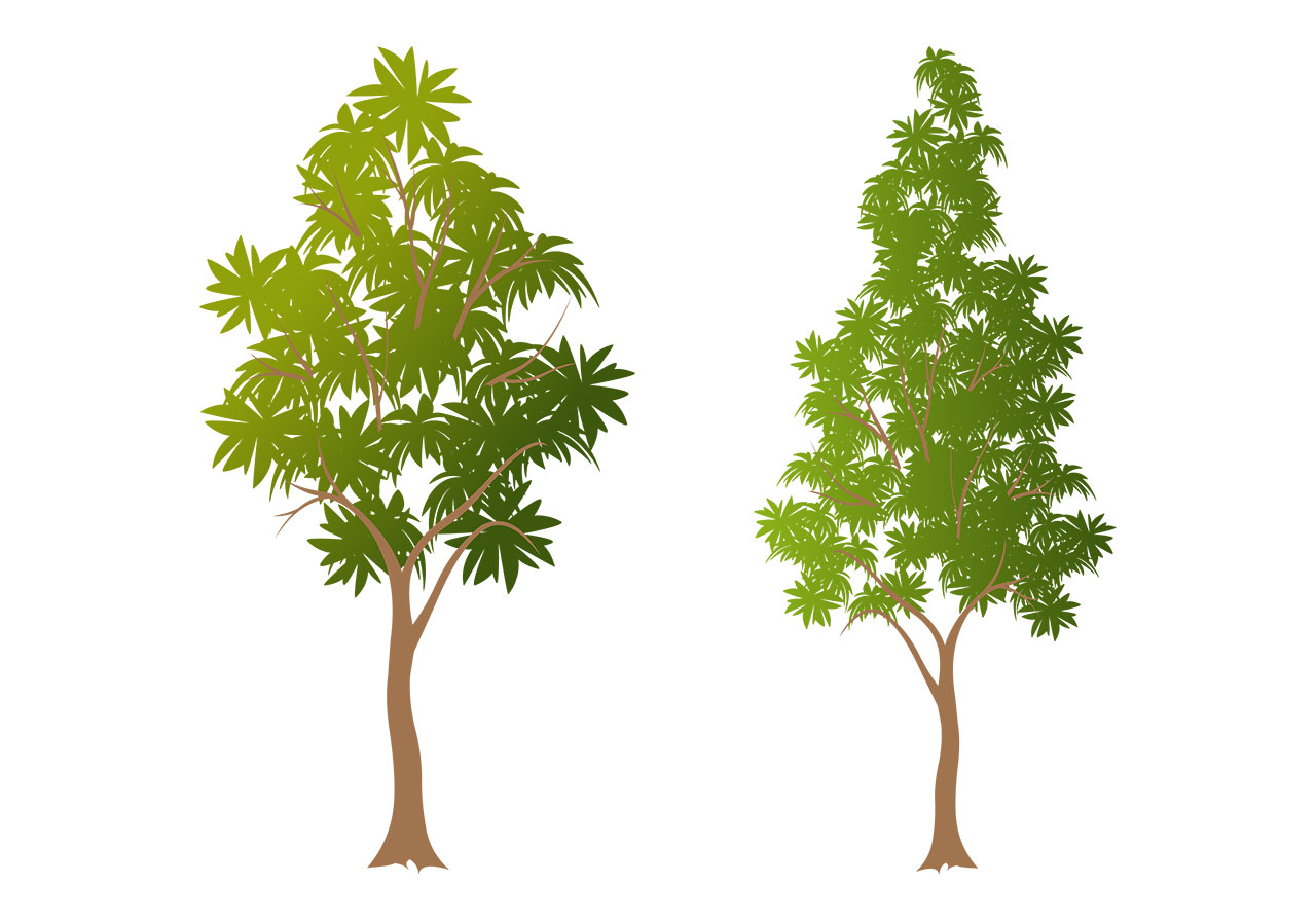 Tall green tree vector graphic. Set of two distinct trees vector graphic. Tall, green, pine tree vector graphic. Beautiful cartoon tree vector graphic. Simple green tree vector graphic. Vector graphic with CC0 license, best for a variety of projects, including designs, animations, and more.