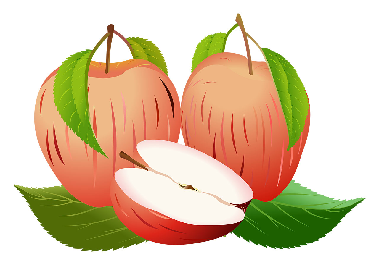 Apples, ripe, fruits vector graphic. A sliced apple with two whole apples and green leaves vector graphic. Apples with slices and green leaves vector graphic. Fruits with leaves vector graphic. Vector graphic with CC0 license, best for a variety of projects, including designs, animations, and more.