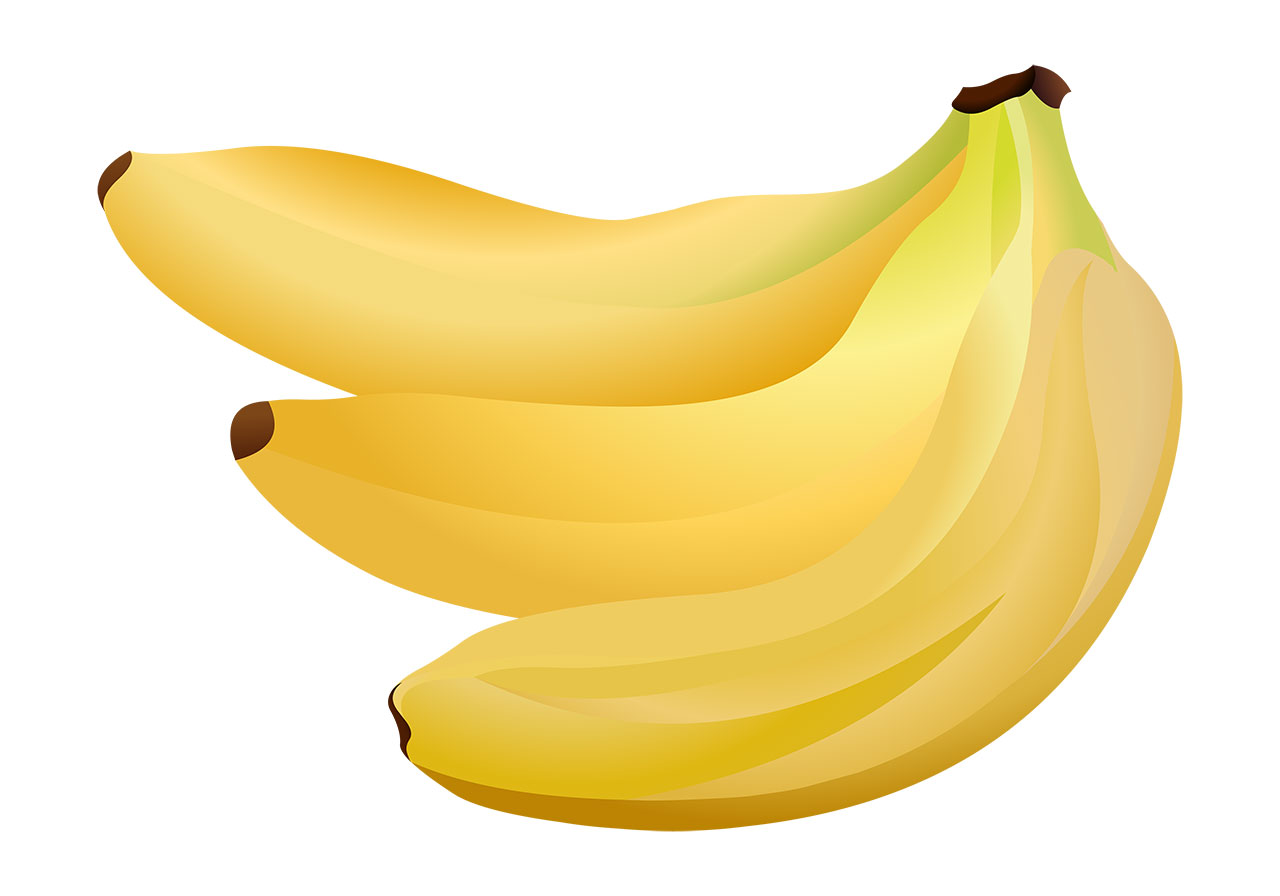 Bananas, fruits, ripe vector graphic. Ripe yellow bananas vector graphic. A bunch of beautiful ripe bananas vector graphic. Beautiful fruits vector graphic. Vector graphic with CC0 license, best for a variety of projects, including designs, animations, and more.