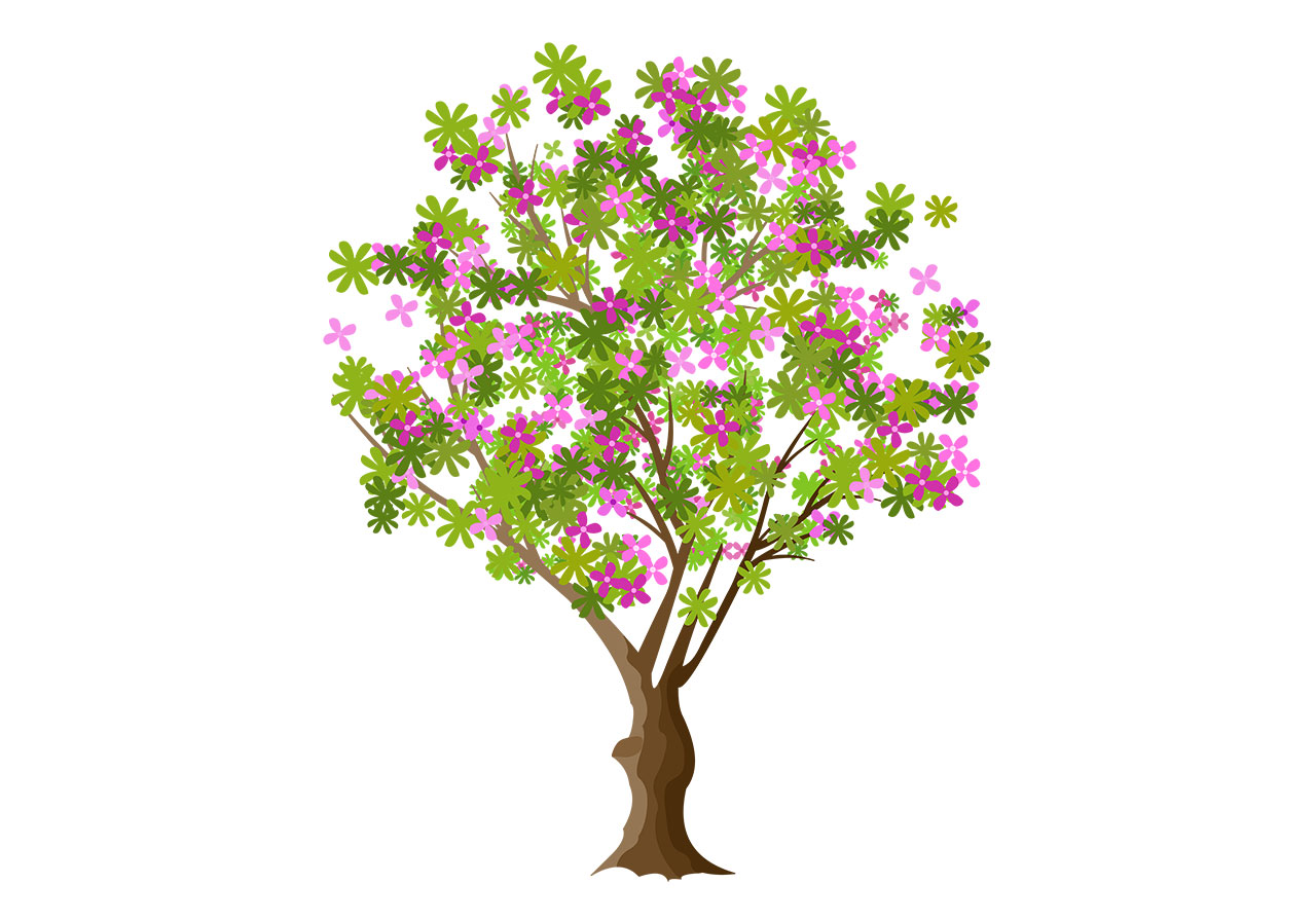 Cherry, sakura trees vector graphic. Stunning cherry tree with pink blossoms vector graphic. Beautiful tree in full bloom, branches are adorned with a dense arrangement of vibrant green leaves and small, star-shaped flowers in various shades of pink vector graphic. Vector graphic with CC0 license, best for a variety of projects, including designs, animations, and more.