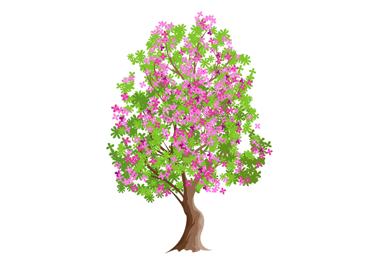 Cherry tree, plant vector graphic. Beautiful pink flowering tree vector graphic. Cherry, sakura flowering tree, plant vector graphic. A stylized, tall, vibrant tree in full bloom vector graphic. Vector graphic with CC0 license, best for a variety of projects, including designs, animations, and more.