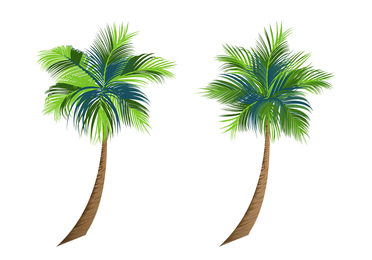 Coconut, palm tree vector graphic. Set of two stunning coconut trees vector graphics. Two stylized palm trees vector graphics. Palm trees, coconut trees vector graphic. Vector graphic with CC0 license, best for a variety of projects, including designs, animations, and more.