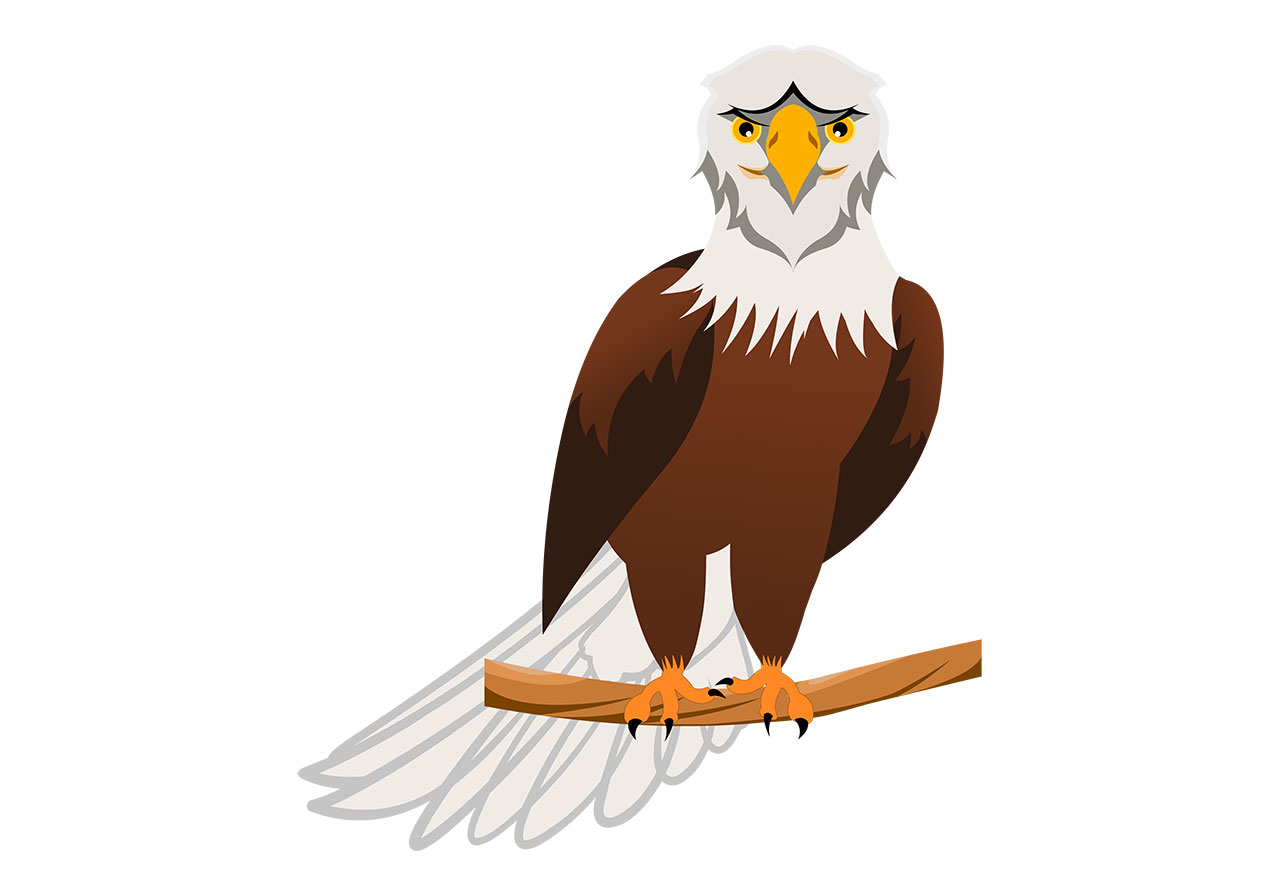 Eagle, falcon, bird vector graphic. Beautiful eagle standing on a branch vector graphic. A stylized bald eagle perched on a branch vector graphic. Silhouette of an eagle, bird gripping the branch, vector graphic. Vector graphic with CC0 license, best for a variety of projects, including designs, animations, and more.