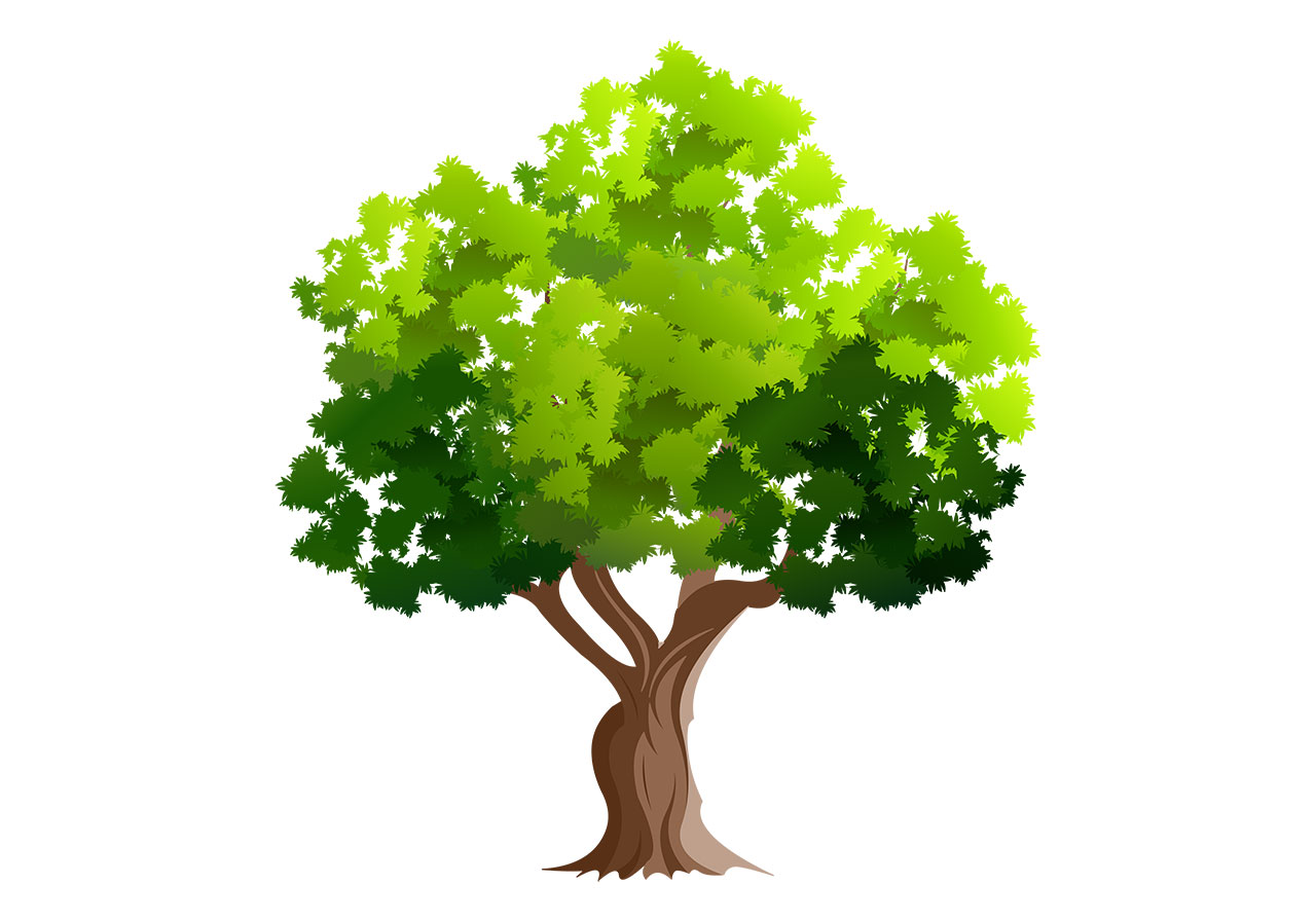 Green Tree, Plant vector graphic. Beautiful green tree with a large trunk vector graphic. Large green tree with dense foliage vector graphic. Beautiful tree vector graphic. Vector graphic with CC0 license, best for a variety of projects, including designs, animations, and more.