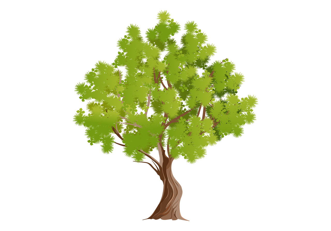 Green tree, trunk vector graphic. A stylized, vibrant green deciduous tree with a brown trunk vector graphic. A healthy, mature tree composed with numerous clusters of green leaves, vector graphic. Vector graphic with CC0 license, best for a variety of projects, including designs, animations, and more.
