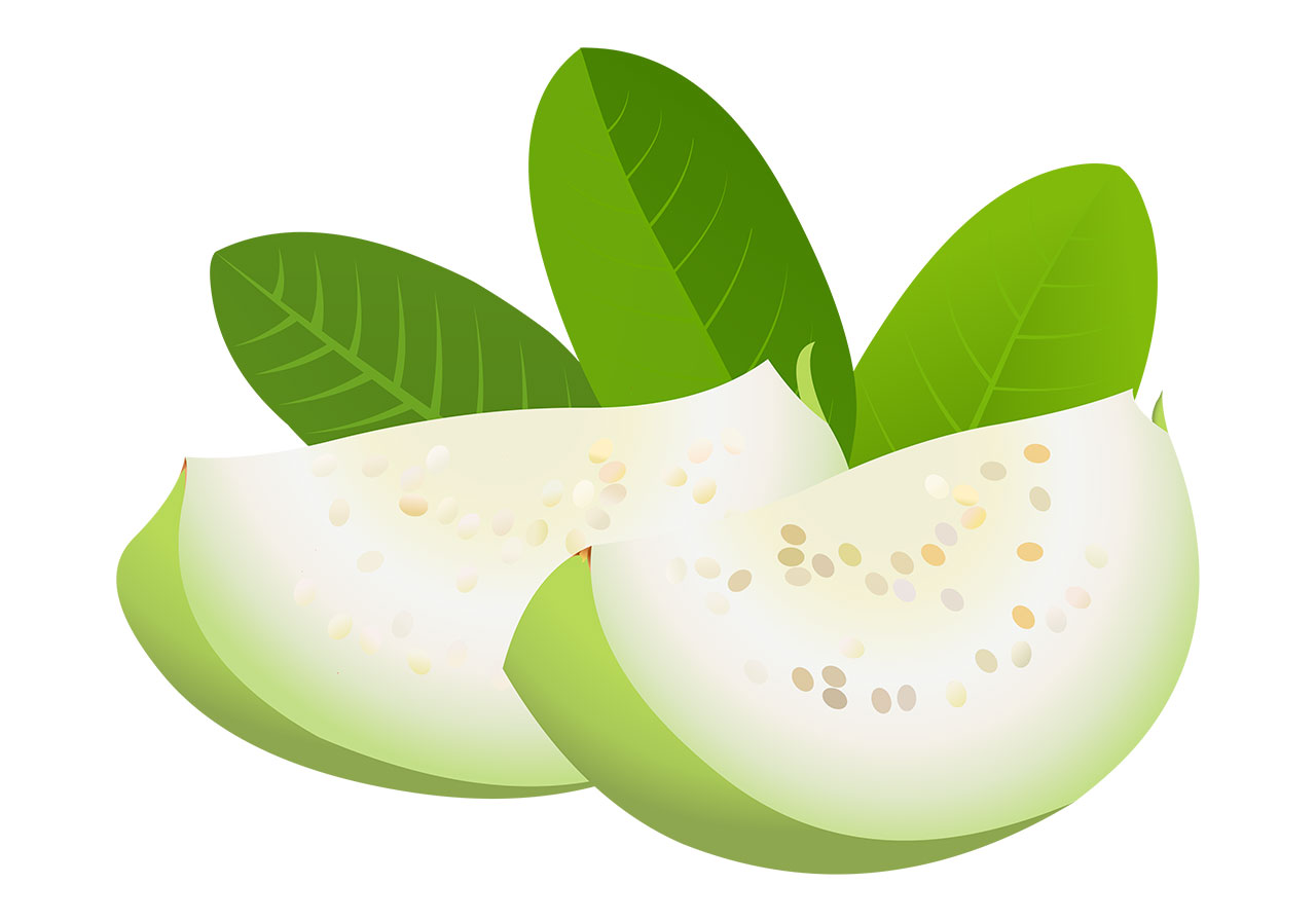 Guava with leaves vector graphic. Two wedges of ripe guava accompanied by three lush green leaves vector graphic. Freshly sliced guavas, revealing their pale, creamy white flesh, vector graphic. Fruits with leaves vector graphic. Vector graphic with CC0 license, best for a variety of projects, including designs, animations, and more.