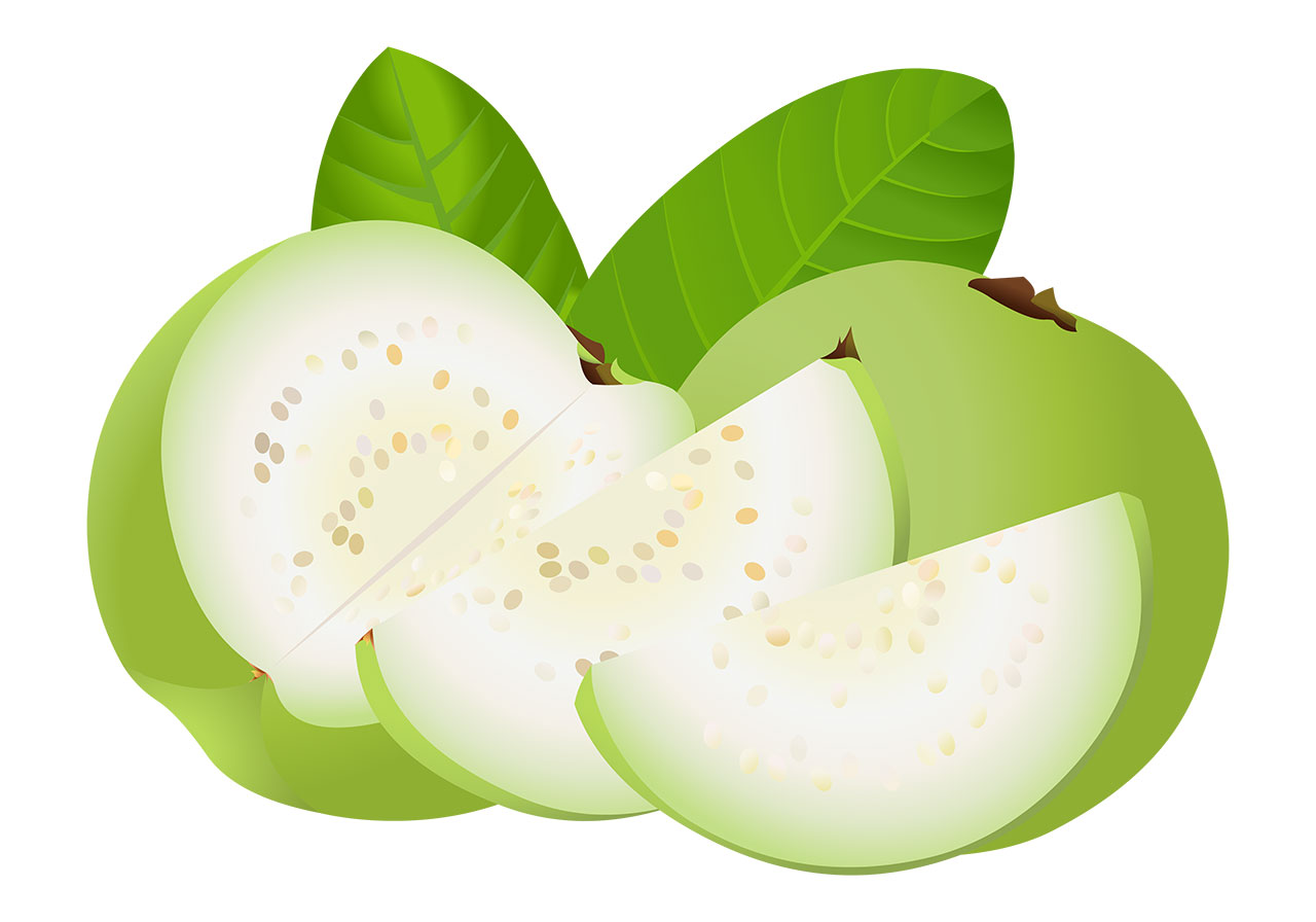 Guavas with leaves vector graphic. Fresh, ripe guavas with slices and green leaves vector graphic. Fruits with leaves vector graphic. One guava sliced into three-fourths, revealing its interior with one whole guava and two wedges vector graphic. Vector graphic with CC0 license, best for a variety of projects, including designs, animations, and more.