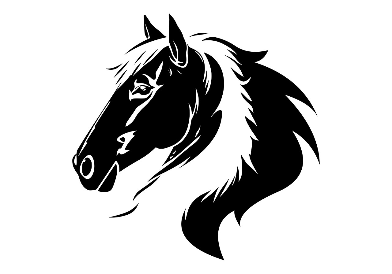 Horse, animal, outline vector graphic. Black and white clip art of a horse's head vector graphic. Line art of a horse, animal vector graphic. Animal line art vector graphic. Vector graphic with CC0 license, best for a variety of projects, including designs, animations, and more.