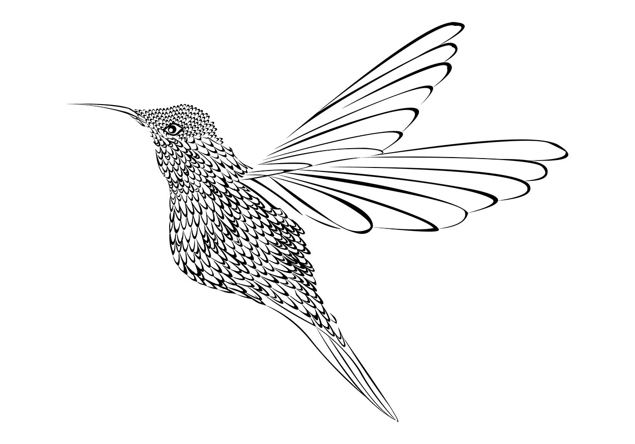 Hummingbird line art vector graphic. Beautiful hummingbird clip art vector graphic. Black and white hummingbird vector graphic. A stylized, black and white line art of a hummingbird in flight vector graphic. Vector graphic with CC0 license, best for a variety of projects, including designs, animations, and more.