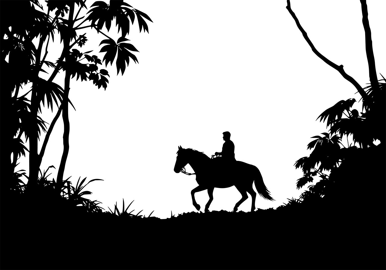 Jungle clip art vector graphic. A man riding on a horse in a jungle vector graphic. Black and white silhouette of jungle vector graphic. Jungle clip art, line art vector graphic. Vector graphic with CC0 license, best for a variety of projects, including designs, animations, and more.