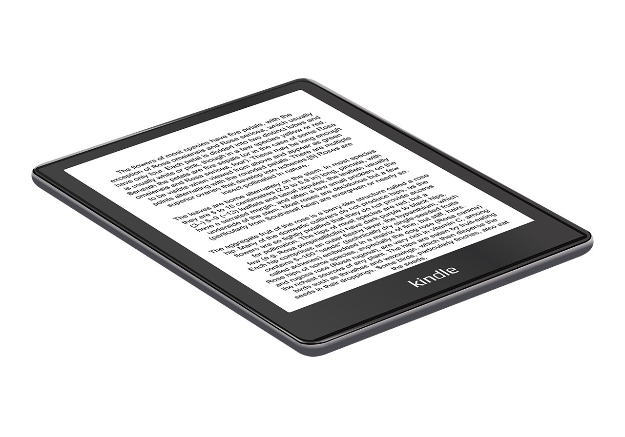 Kindle, tablet, iPad vector graphic. A Kindle e-reader, angled and displayed on a white surface vector graphic. Dark grey tablet with illuminated screen displaying text vector graphic. Vector graphic with CC0 license, best for a variety of projects, including designs, animations, and more.