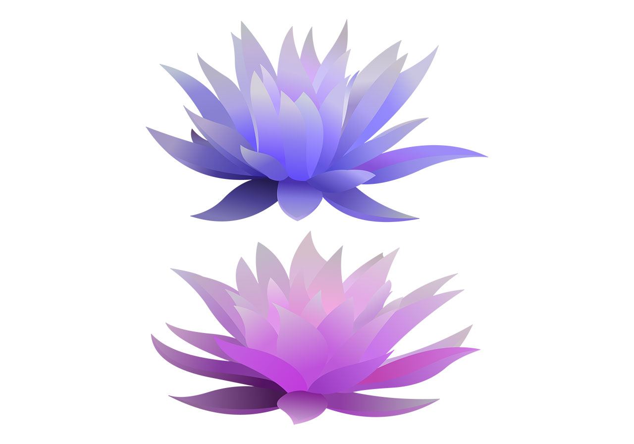 Lotus, lily flowers vector graphic. Set of lotus flowers in full bloom vector graphic. Beautiful water lilies vector graphic. Lotus blossoms vector graphic. Two stylized, abstract representations of lotus flowers with realistic detail vector graphic. Vector graphic with CC0 license, best for a variety of projects, including designs, animations, and more.