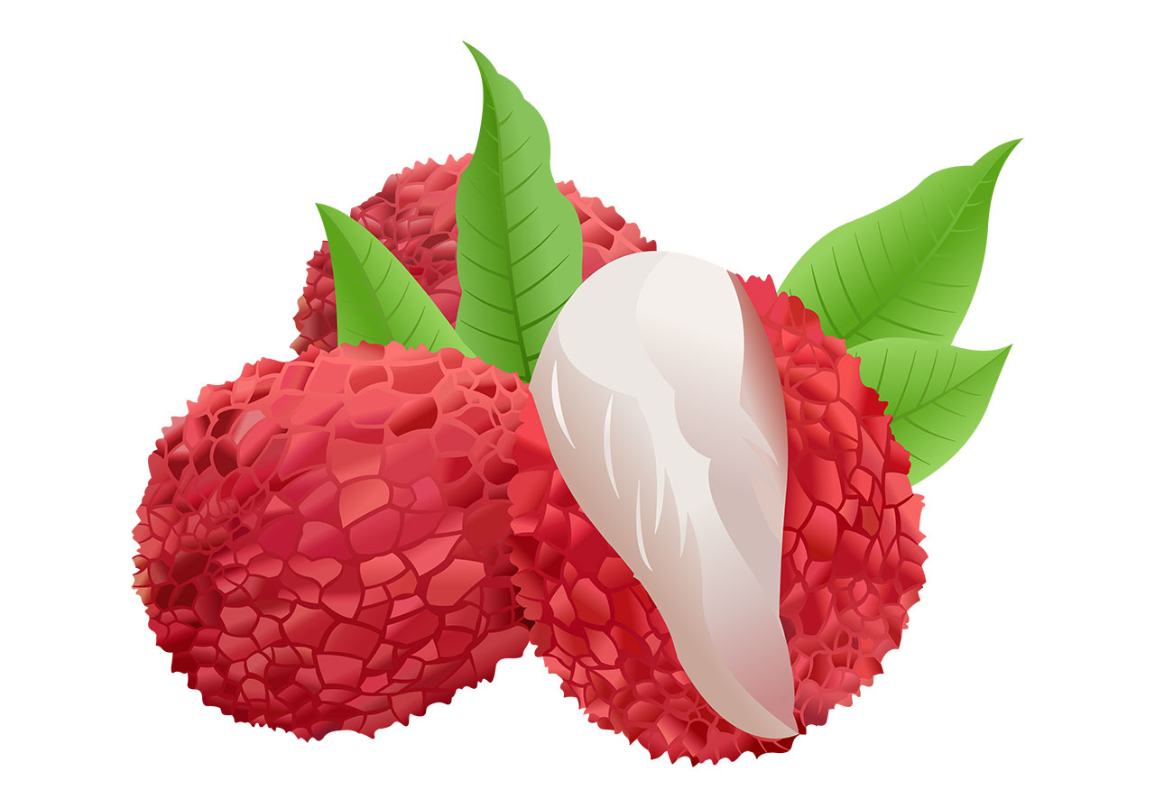 Lychees, fruits, ripe vector graphic. Stunning lychees with leaves vector graphic. A cluster of three ripe lychee fruits, with a peeled lychee, revealing its succulent white flesh and a hint of the dark seed within vector graphic. Vector graphic with CC0 license, best for a variety of projects, including designs, animations, and more.