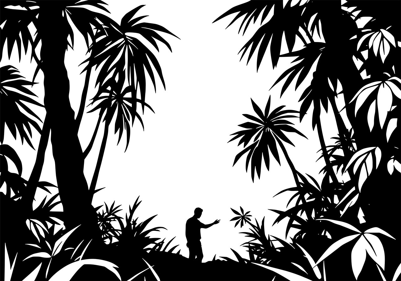 Man in jungle vector graphic. Jungle clip art, line art vector graphic. Black and white silhouette of jungle vector graphic. Silhouette of a man and the surrounding vegetation in jungle vector graphic. Vector graphic with CC0 license, best for a variety of projects, including designs, animations, and more.