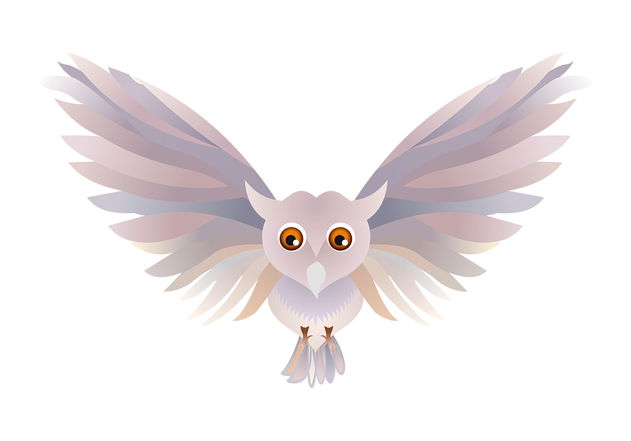 Owl, bird, animal vector graphic. A white flying owl vector graphic. Stunning owl in flight vector graphic. A beautiful white owl taking off, vector graphic. Owl, bird, animal vector graphic. Vector graphic with CC0 license, best for a variety of projects, including designs, animations, and more.