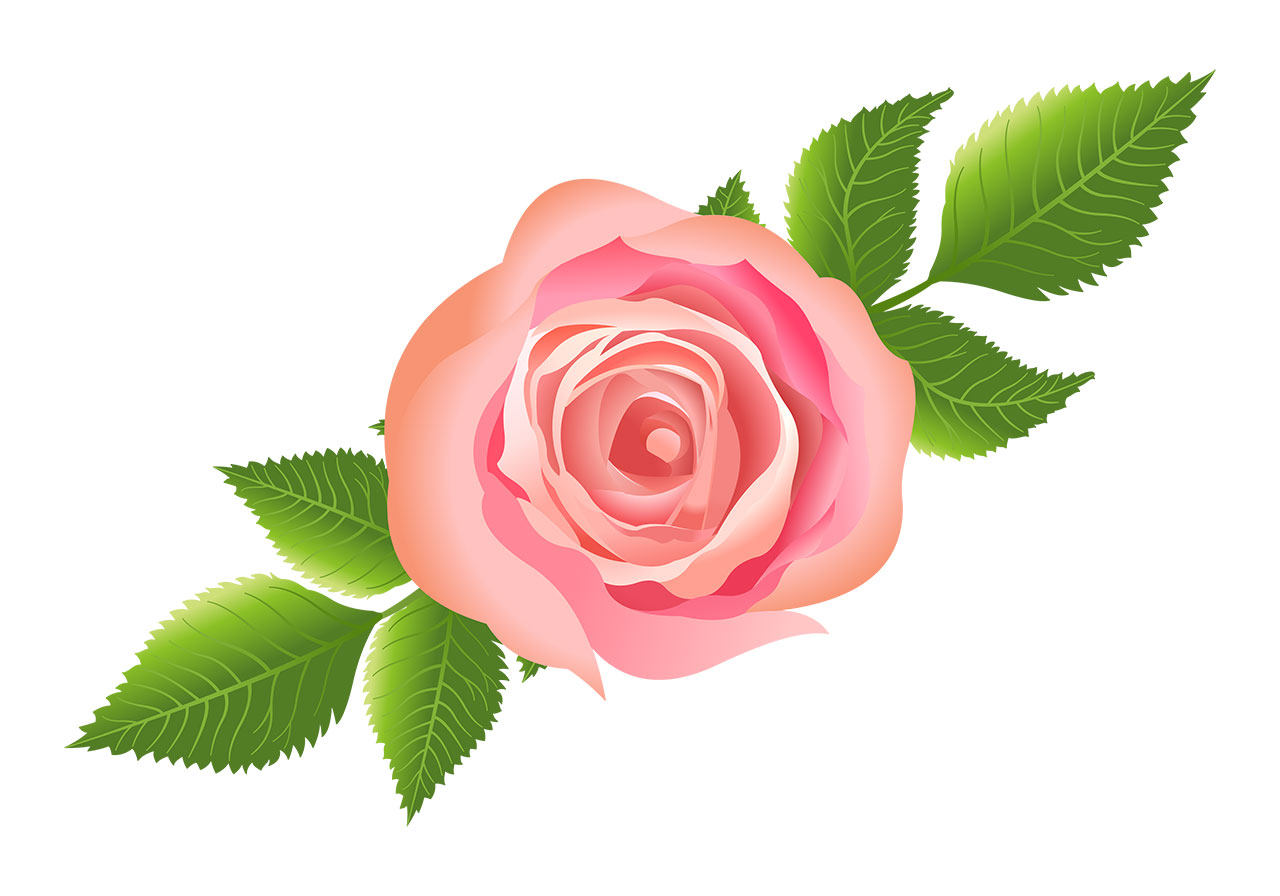 Pink rose, flower vector graphic. Stunning pink rose with leaves vector graphic. Flowers with leaves vector graphic. A single, fully bloomed rose, in close-up view, vector graphic. Rose blossom vector graphic. Vector graphic with CC0 license, best for a variety of projects, including designs, animations, and more.