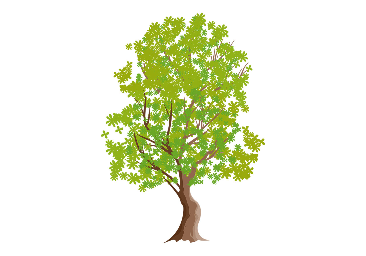 Plant, green tree vector graphic. Beautiful tall green tree vector graphic. Large green tree with lush green leaves vector graphic. Stunning green tree vector graphic. Vector graphic with CC0 license, best for a variety of projects, including designs, animations, and more.