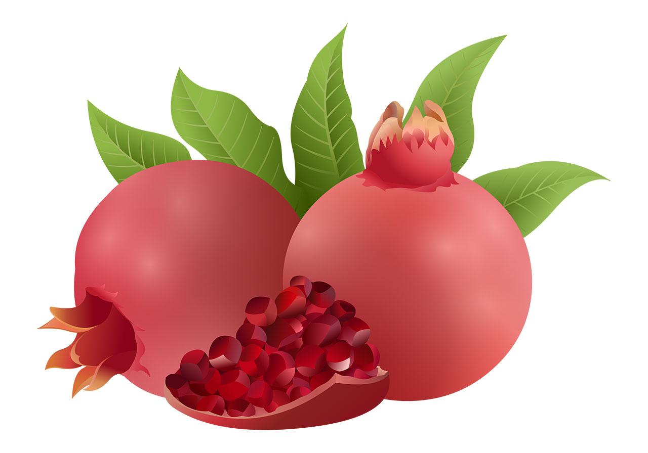 Pomegranates with leaves vector graphic. Red and ripe pomegranates with leaves vector graphic. Fruits with leaves vector graphic. A freshly cut pomegranate, revealing its rich interior with two whole pomegranates and leaves, vector graphic. Vector graphic with CC0 license, best for a variety of projects, including designs, animations, and more.