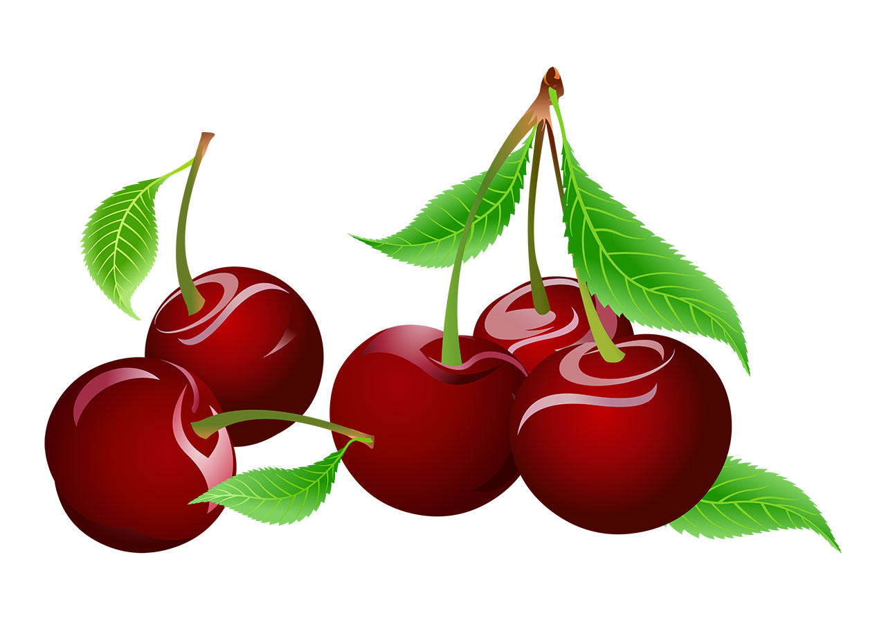 Ripe cherry fruit vector graphic. Cherries with leaves vector graphic. Stunning ripe cherries, each attached to its stem and adorned with vibrant green leaves, vector graphic. Vector graphic with CC0 license, best for a variety of projects, including designs, animations, and more.