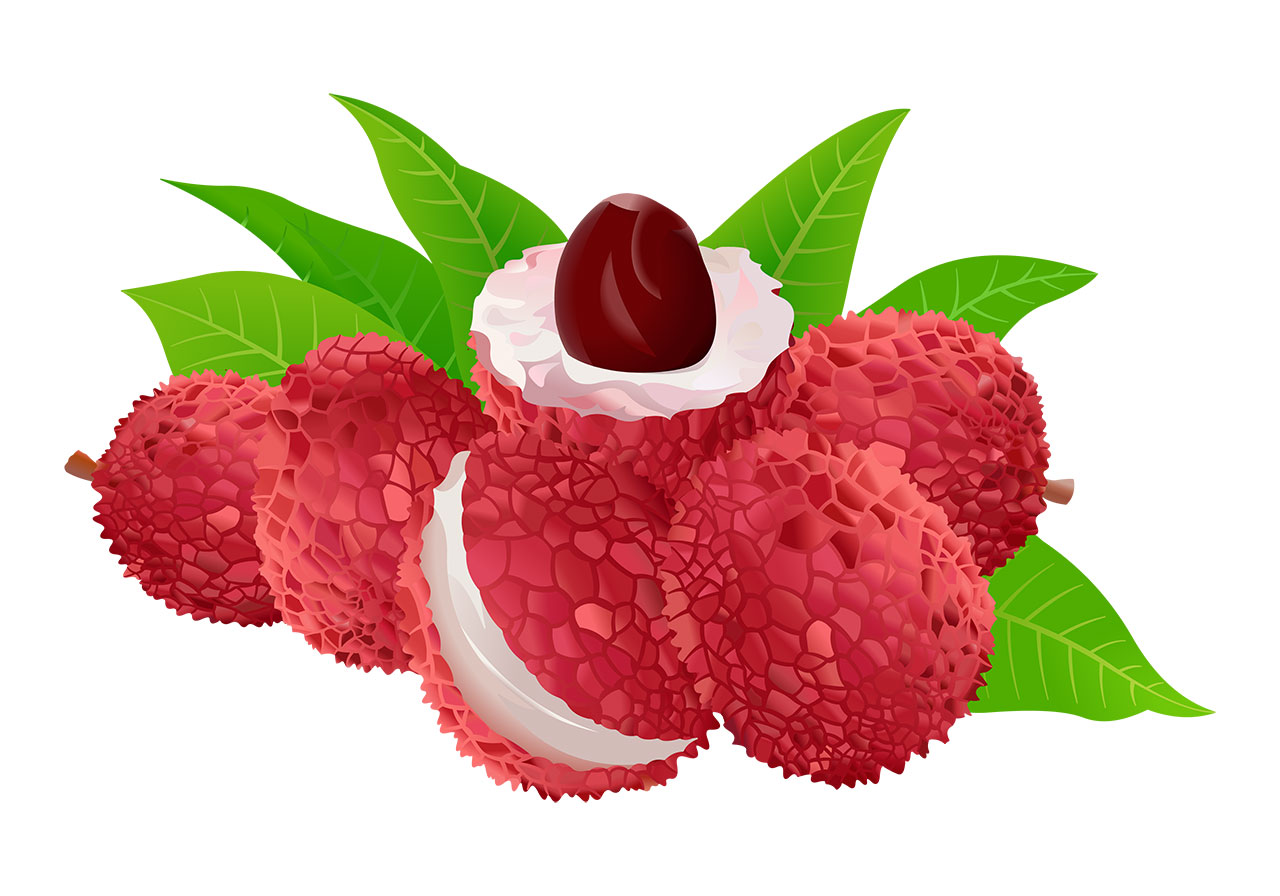 Ripe, lychee, fruit vector graphic. Beautiful ripe lychees with leaves vector graphic. A lychee is partially peeled open, revealing its smooth, creamy white flesh and a dark, glossy seed at its center, with some whole lychees and green leaves vector graphic. Vector graphic with CC0 license, best for a variety of projects, including designs, animations, and more.
