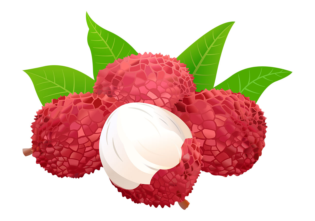 Ripe lychees, fruit vector graphic. Beautiful ripe lychees with green leaves vector graphic. A cluster of ripe lychees, with one fruit partially peeled, revealing its white flesh, vector graphic. Fruits with leaves vector graphic. Vector graphic with CC0 license, best for a variety of projects, including designs, animations, and more.