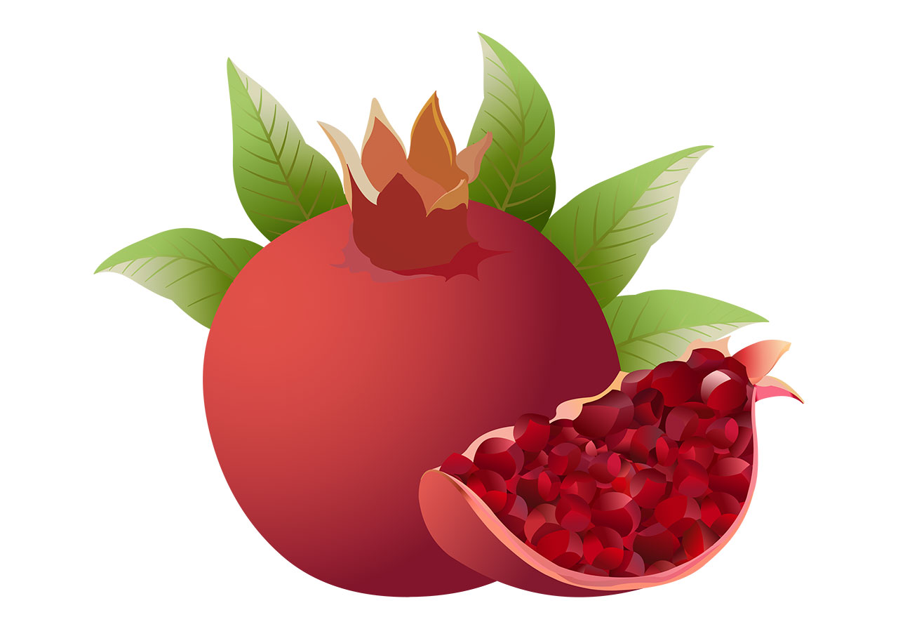 Ripe pomegranate, fruit vector graphic. Beautiful ripe pomegranate with leaves vector graphic. A wedge of a pomegranate slice, revealing its vibrant interior and jewel-like seeds, clustered tightly together with green leaves vector graphic. Vector graphic with CC0 license, best for a variety of projects, including designs, animations, and more.