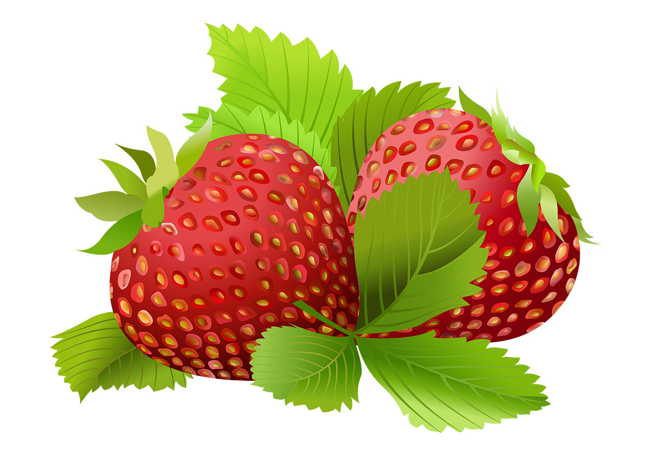 Ripe strawberries, fruit vector graphic. Stunning strawberries with leaves vector graphic. Two ripe, red strawberries with green leaves vector graphic. Strawberries adorned with vibrant and detailed green leafy calyces vector graphic. Vector graphic with CC0 license, best for a variety of projects, including designs, animations, and more.