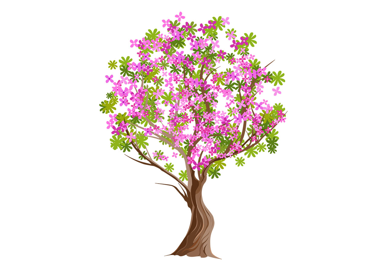 Sakura, cherry tree vector graphic. A stylized, blooming tree depicted in full foliage, with numerous small, five-petaled pink flowers and vibrant green leaves vector graphic. Beautiful blooming tree vector graphic. Vector graphic with CC0 license, best for a variety of projects, including designs, animations, and more.