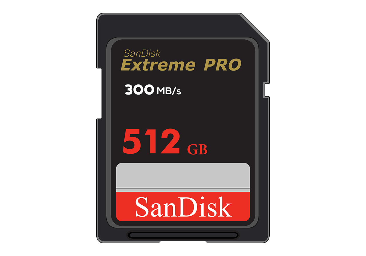 SDHC Memory Card vector graphic. A SanDisk Extreme PRO 512 GB SD card vector graphic. A beautifully designed SDHC card vector graphic. Storage, memory card vector graphic. Vector graphic with CC0 license, best for a variety of projects, including designs, animations, and more.