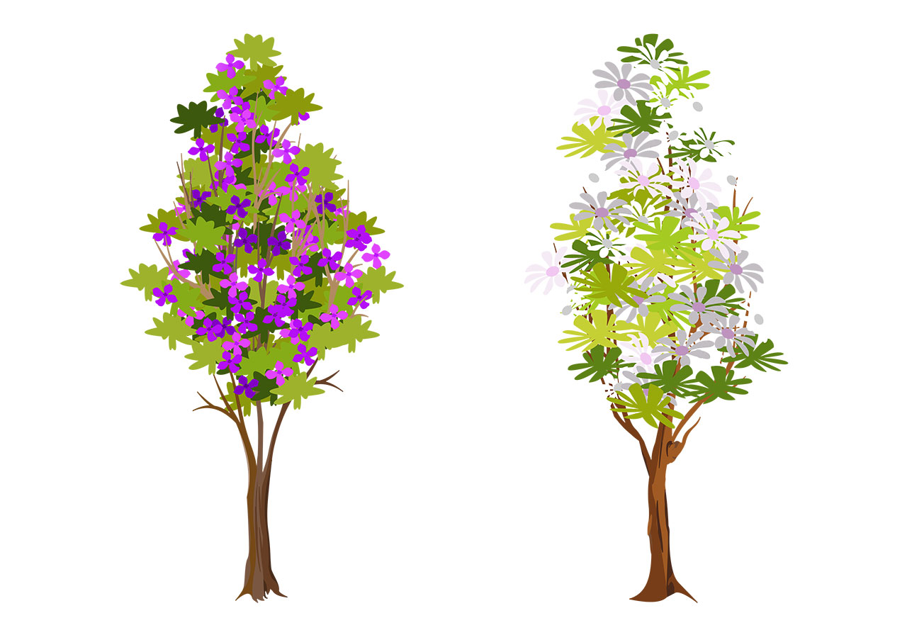 Tall tree, plant vector graphic. Beautiful tall flowering tree vector graphic. Tall tree, plant vector graphic. Tall tree, plant with beautiful blossoms vector graphic. Vector graphic with CC0 license, best for a variety of projects, including designs, animations, and more.