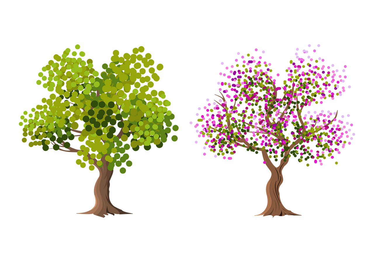 Tree, plant design vector graphic. Two vibrant trees, one with a green dense canopy and the other adorned with a multitude of small, round blossoms in shades of pink and purple vector graphic. Vector graphic with CC0 license, best for a variety of projects, including designs, animations, and more.