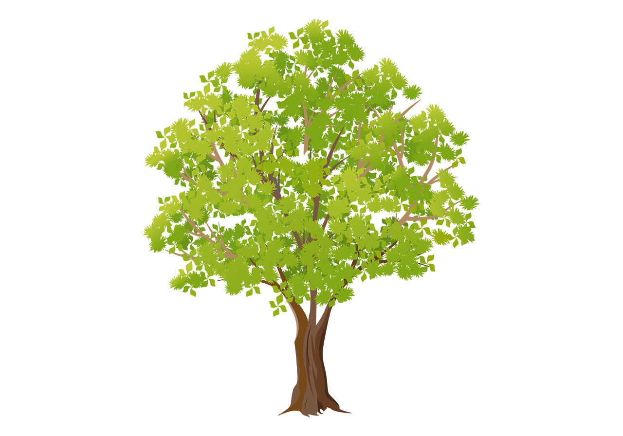 Tree, plant, trunk vector graphic. Beautiful large, green tree vector graphic. Large tree with canopy of lush green foliage vector graphic. Tree, plant vector graphic. Vector graphic with CC0 license, best for a variety of projects, including designs, animations, and more.