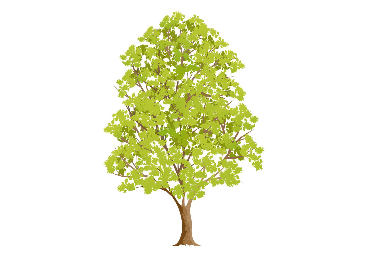 Tree, trunk, plant vector graphic. A tall green tree vector graphic. A single, mature tree vector graphic. A beautiful tree depicted in full leaf, with a dense canopy vector graphic. Stunning tree with lush green foliage vector graphic. Vector graphic with CC0 license, best for a variety of projects, including designs, animations, and more.