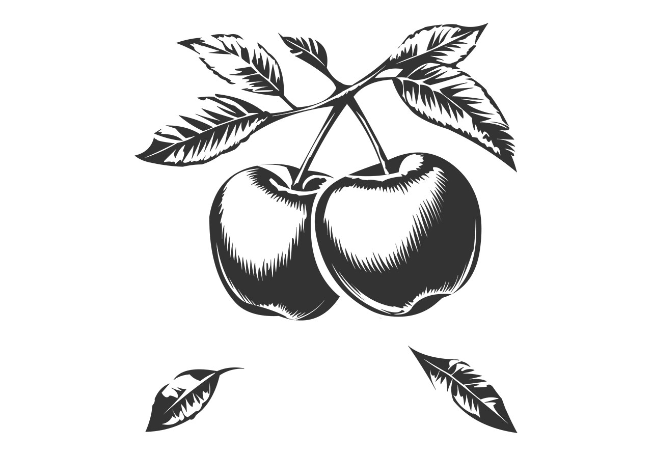 Apples line art vector graphic. Apple with branch clip art vector graphic. Black and white line art of apples with branch vector graphic. Fruits hanging from branch vector graphic. Vector graphic with CC0 license, best for a variety of projects, including designs, animations, and more.