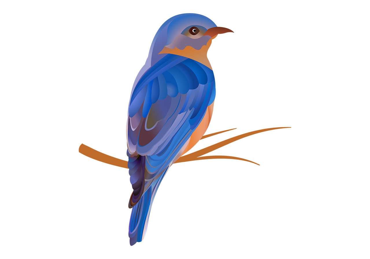 Beautiful bird, animal vector graphic. A beautiful blue bird vector graphic. Stunning blue bird, animal, wildlife vector graphic. A vibrantly colored bird, likely a bluebird, perched on a thin brown branch vector graphic. Vector graphic with CC0 license, best for a variety of projects, including designs, animations, and more.