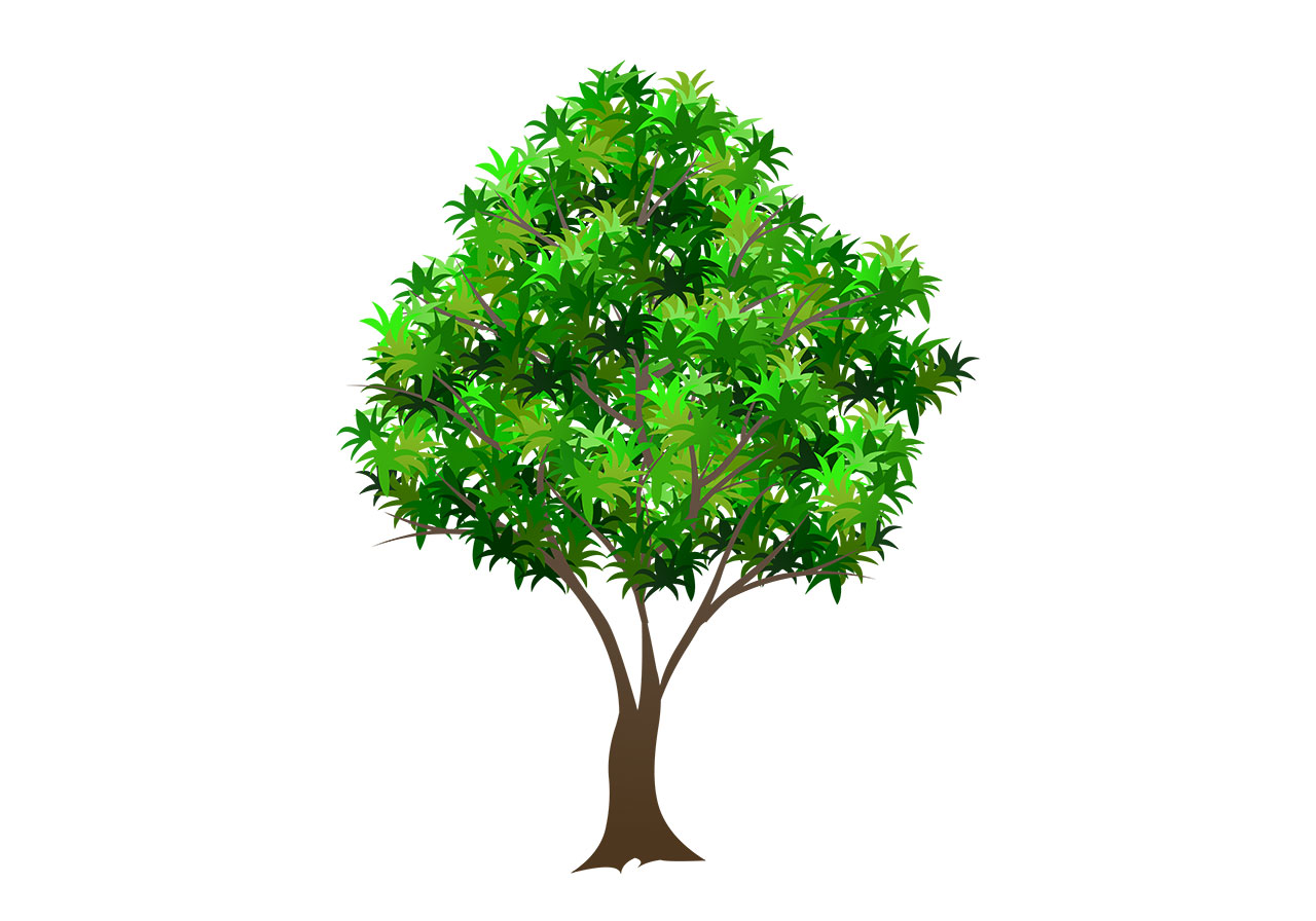 Beautiful green tree vector graphic. Beautiful tree with lush green leaves vector graphic. Stunning green tree, plant vector graphic. Vector graphic with CC0 license, best for a variety of projects, including designs, animations, and more.