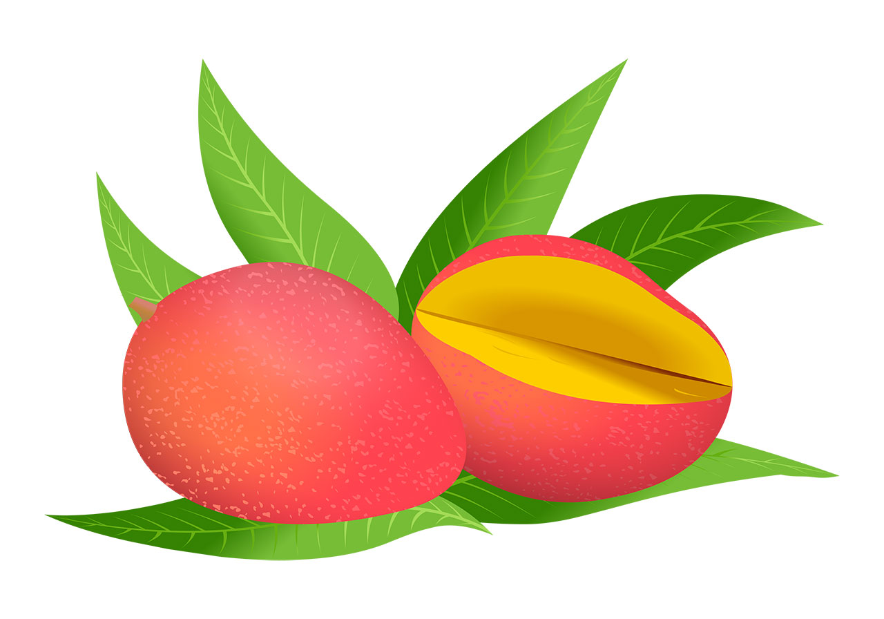 Beautiful mangoes, fruits vector graphic. Stunning ripe, red mangoes with green leaves vector graphic. Fruits with leaves vector graphic. Two ripe mangoes, presented as a whole fruit and one cut in half with beautiful green leaves vector graphic. Vector graphic with CC0 license, best for a variety of projects, including designs, animations, and more.
