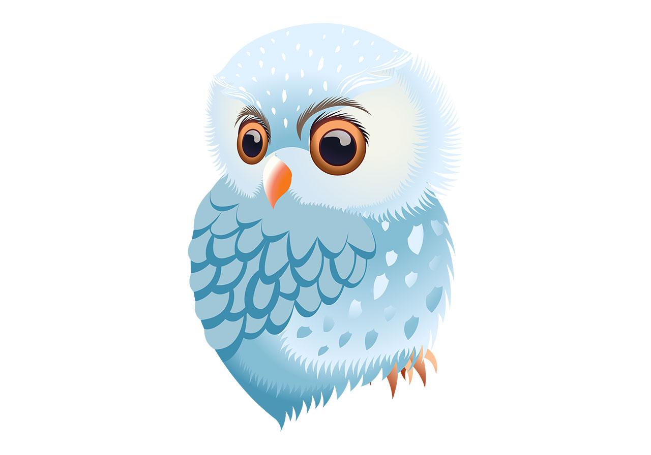 Beautiful owl, bird vector graphic. Beautiful white owl vector graphic. A cute baby owl vector graphic. A charming, stylized depiction of a baby owl vector graphic. Owl, animal, bird vector graphic. Vector graphic with CC0 license, best for a variety of projects, including designs, animations, and more.