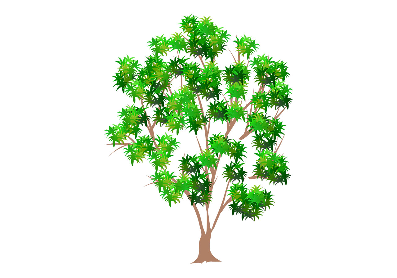 Beautiful plant, tree vector graphic. Stunning green tree, plant vector graphic. Beautiful tree with lush green foliage vector graphic. Green tree with dense clusters of leaves vector graphic. Vector graphic with CC0 license, best for a variety of projects, including designs, animations, and more.